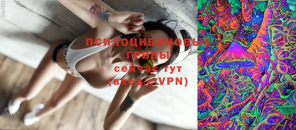 гидра Верея